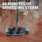 Load image into Gallery viewer, Wagner 915E On-Demand Power Steamer
